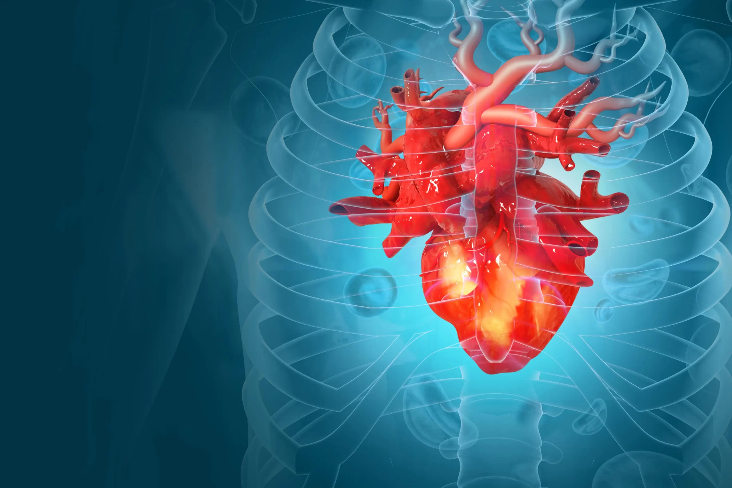 فلوشیپ قلب چیست؟